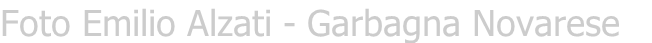 Site Title